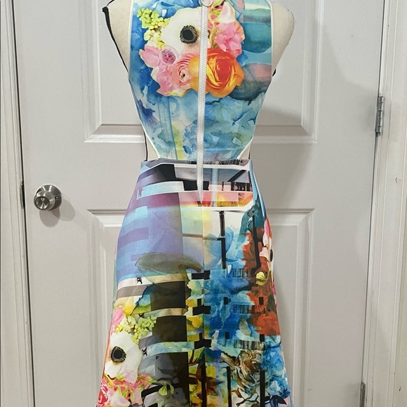Clover Canyon Fluorescent Rose Cut Out Neoprene Dress in Multi Sz S - Picture 13 of 15